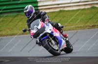 anglesey;brands-hatch;cadwell-park;croft;donington-park;enduro-digital-images;event-digital-images;eventdigitalimages;mallory;no-limits;oulton-park;peter-wileman-photography;racing-digital-images;silverstone;snetterton;trackday-digital-images;trackday-photos;vmcc-banbury-run;welsh-2-day-enduro