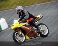 NOVICE MULTICOLOUR BIKES