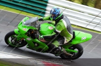 GREEN /YELLOW BIKES