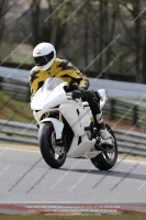 FAST BLUE/WHITE BIKES
