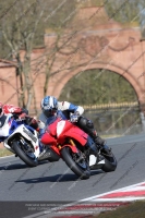 enduro-digital-images;event-digital-images;eventdigitalimages;no-limits-trackdays;oulton-no-limits-trackday;oulton-park-cheshire;oulton-trackday-photographs;peter-wileman-photography;racing-digital-images;trackday-digital-images;trackday-photos