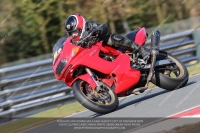 enduro-digital-images;event-digital-images;eventdigitalimages;no-limits-trackdays;oulton-no-limits-trackday;oulton-park-cheshire;oulton-trackday-photographs;peter-wileman-photography;racing-digital-images;trackday-digital-images;trackday-photos
