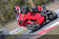 enduro-digital-images;event-digital-images;eventdigitalimages;no-limits-trackdays;oulton-no-limits-trackday;oulton-park-cheshire;oulton-trackday-photographs;peter-wileman-photography;racing-digital-images;trackday-digital-images;trackday-photos