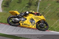 march-2010;motorbikes;no-limits;peter-wileman-photography;portimao;portugal;trackday;trackday-digital-images