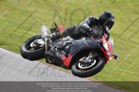 march-2010;motorbikes;no-limits;peter-wileman-photography;portimao;portugal;trackday;trackday-digital-images