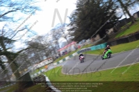 Inter Green/Yellow Bikes