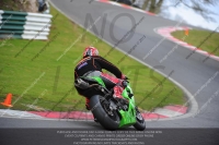 Inter Green/Yellow Bikes