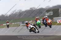 600 Newcomers Multicolour Bikes