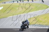 Fast Blue/White Bikes