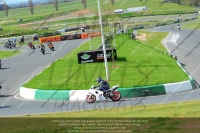 Novice Blue/White Bikes