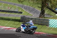 brands-hatch-photographs;brands-no-limits-trackday;cadwell-trackday-photographs;enduro-digital-images;event-digital-images;eventdigitalimages;no-limits-trackdays;peter-wileman-photography;racing-digital-images;trackday-digital-images;trackday-photos
