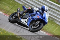 Yellow Inter Blue/White Bikes
