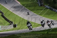 brands-hatch-photographs;brands-no-limits-trackday;cadwell-trackday-photographs;enduro-digital-images;event-digital-images;eventdigitalimages;no-limits-trackdays;peter-wileman-photography;racing-digital-images;trackday-digital-images;trackday-photos