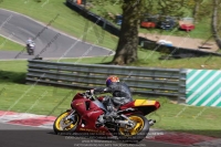 brands-hatch-photographs;brands-no-limits-trackday;cadwell-trackday-photographs;enduro-digital-images;event-digital-images;eventdigitalimages;no-limits-trackdays;peter-wileman-photography;racing-digital-images;trackday-digital-images;trackday-photos