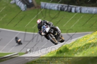 brands-hatch-photographs;brands-no-limits-trackday;cadwell-trackday-photographs;enduro-digital-images;event-digital-images;eventdigitalimages;no-limits-trackdays;peter-wileman-photography;racing-digital-images;trackday-digital-images;trackday-photos