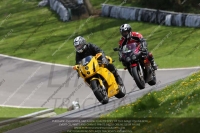 brands-hatch-photographs;brands-no-limits-trackday;cadwell-trackday-photographs;enduro-digital-images;event-digital-images;eventdigitalimages;no-limits-trackdays;peter-wileman-photography;racing-digital-images;trackday-digital-images;trackday-photos