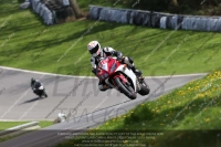 brands-hatch-photographs;brands-no-limits-trackday;cadwell-trackday-photographs;enduro-digital-images;event-digital-images;eventdigitalimages;no-limits-trackdays;peter-wileman-photography;racing-digital-images;trackday-digital-images;trackday-photos