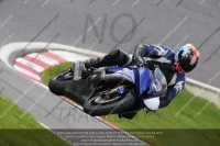Blue/White Bikes