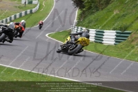 cadwell-no-limits-trackday;cadwell-park;cadwell-park-photographs;cadwell-trackday-photographs;enduro-digital-images;event-digital-images;eventdigitalimages;no-limits-trackdays;peter-wileman-photography;racing-digital-images;trackday-digital-images;trackday-photos
