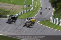 cadwell-no-limits-trackday;cadwell-park;cadwell-park-photographs;cadwell-trackday-photographs;enduro-digital-images;event-digital-images;eventdigitalimages;no-limits-trackdays;peter-wileman-photography;racing-digital-images;trackday-digital-images;trackday-photos