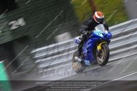 anglesey;brands-hatch;cadwell-park;croft;donington-park;enduro-digital-images;event-digital-images;eventdigitalimages;mallory;no-limits;oulton-park;peter-wileman-photography;racing-digital-images;silverstone;snetterton;trackday-digital-images;trackday-photos;vmcc-banbury-run;welsh-2-day-enduro