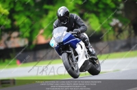 Fast Blue/White Bikes