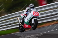 anglesey;brands-hatch;cadwell-park;croft;donington-park;enduro-digital-images;event-digital-images;eventdigitalimages;mallory;no-limits;oulton-park;peter-wileman-photography;racing-digital-images;silverstone;snetterton;trackday-digital-images;trackday-photos;vmcc-banbury-run;welsh-2-day-enduro