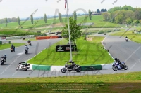 Novice Black/Silver Bikes