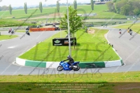 Novice Blue/White Bikes