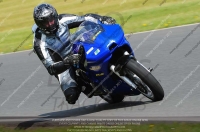 Novice Blue/White Bikes