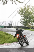 Inter Red/Orange Bikes
