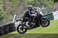 Novice Black/Silver Bikes