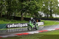 Novice Green/Yellow Bikes