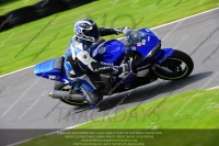 Novice Blue/White Bikes