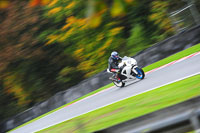 Fast Blue/White Bikes