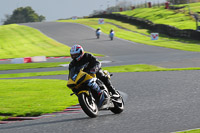 anglesey;brands-hatch;cadwell-park;croft;donington-park;enduro-digital-images;event-digital-images;eventdigitalimages;mallory;no-limits;oulton-park;peter-wileman-photography;racing-digital-images;silverstone;snetterton;trackday-digital-images;trackday-photos;vmcc-banbury-run;welsh-2-day-enduro