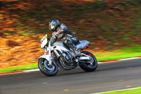 Inter Black/Silver Bikes