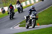 Novice Black/Silver Bikes