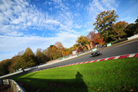enduro-digital-images;event-digital-images;eventdigitalimages;no-limits-trackdays;oulton-no-limits-trackday;oulton-park-cheshire;oulton-trackday-photographs;peter-wileman-photography;racing-digital-images;trackday-digital-images;trackday-photos