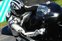 enduro-digital-images;event-digital-images;eventdigitalimages;no-limits-trackdays;oulton-no-limits-trackday;oulton-park-cheshire;oulton-trackday-photographs;peter-wileman-photography;racing-digital-images;trackday-digital-images;trackday-photos
