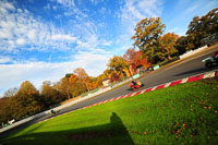 enduro-digital-images;event-digital-images;eventdigitalimages;no-limits-trackdays;oulton-no-limits-trackday;oulton-park-cheshire;oulton-trackday-photographs;peter-wileman-photography;racing-digital-images;trackday-digital-images;trackday-photos