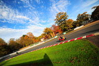 enduro-digital-images;event-digital-images;eventdigitalimages;no-limits-trackdays;oulton-no-limits-trackday;oulton-park-cheshire;oulton-trackday-photographs;peter-wileman-photography;racing-digital-images;trackday-digital-images;trackday-photos