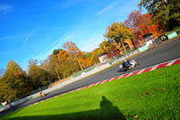 enduro-digital-images;event-digital-images;eventdigitalimages;no-limits-trackdays;oulton-no-limits-trackday;oulton-park-cheshire;oulton-trackday-photographs;peter-wileman-photography;racing-digital-images;trackday-digital-images;trackday-photos