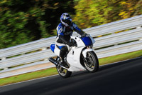 enduro-digital-images;event-digital-images;eventdigitalimages;no-limits-trackdays;oulton-no-limits-trackday;oulton-park-cheshire;oulton-trackday-photographs;peter-wileman-photography;racing-digital-images;trackday-digital-images;trackday-photos