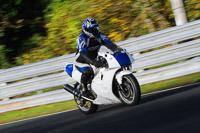 enduro-digital-images;event-digital-images;eventdigitalimages;no-limits-trackdays;oulton-no-limits-trackday;oulton-park-cheshire;oulton-trackday-photographs;peter-wileman-photography;racing-digital-images;trackday-digital-images;trackday-photos