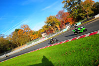 enduro-digital-images;event-digital-images;eventdigitalimages;no-limits-trackdays;oulton-no-limits-trackday;oulton-park-cheshire;oulton-trackday-photographs;peter-wileman-photography;racing-digital-images;trackday-digital-images;trackday-photos