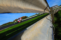 enduro-digital-images;event-digital-images;eventdigitalimages;no-limits-trackdays;oulton-no-limits-trackday;oulton-park-cheshire;oulton-trackday-photographs;peter-wileman-photography;racing-digital-images;trackday-digital-images;trackday-photos