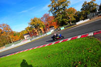 enduro-digital-images;event-digital-images;eventdigitalimages;no-limits-trackdays;oulton-no-limits-trackday;oulton-park-cheshire;oulton-trackday-photographs;peter-wileman-photography;racing-digital-images;trackday-digital-images;trackday-photos
