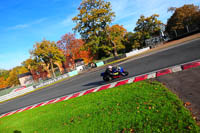 enduro-digital-images;event-digital-images;eventdigitalimages;no-limits-trackdays;oulton-no-limits-trackday;oulton-park-cheshire;oulton-trackday-photographs;peter-wileman-photography;racing-digital-images;trackday-digital-images;trackday-photos