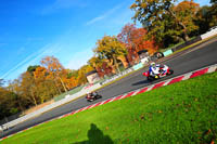 enduro-digital-images;event-digital-images;eventdigitalimages;no-limits-trackdays;oulton-no-limits-trackday;oulton-park-cheshire;oulton-trackday-photographs;peter-wileman-photography;racing-digital-images;trackday-digital-images;trackday-photos